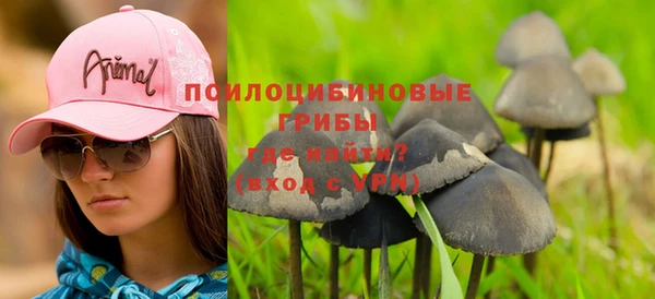 ГАЛЛЮЦИНОГЕННЫЕ ГРИБЫ Богданович