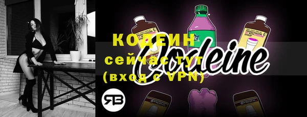 ГАЛЛЮЦИНОГЕННЫЕ ГРИБЫ Богданович
