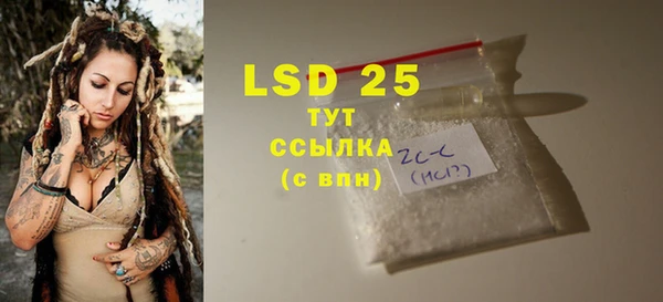 ГАЛЛЮЦИНОГЕННЫЕ ГРИБЫ Богданович