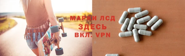 ГАЛЛЮЦИНОГЕННЫЕ ГРИБЫ Богданович