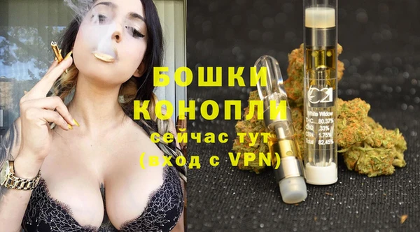 спиды Бородино