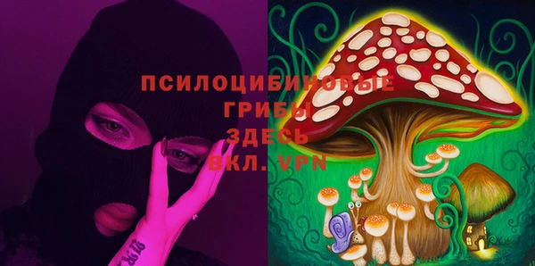 a pvp Богородицк