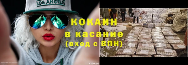 ГАЛЛЮЦИНОГЕННЫЕ ГРИБЫ Богданович