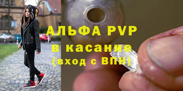 ГАЛЛЮЦИНОГЕННЫЕ ГРИБЫ Богданович