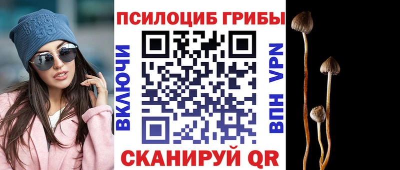 Галлюциногенные грибы мицелий  Ижевск 